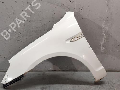 Used Left front fenders HYUNDAI ACCENT III (MC) [2005-2010]  28681782
