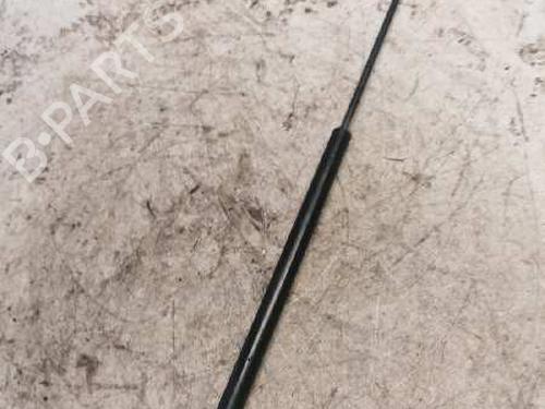 Tailgate lift support FORD FOCUS C-MAX (DM2)  | BP21481100C138 