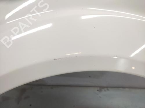 Left front fenders FORD FIESTA V (JH_, JD_)  | BP21419832C41 