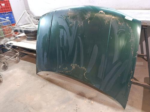 Hood VW GOLF IV (1J1) 1.9 TDI | BP25791878C1 