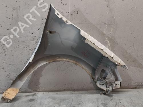 Left front fenders DACIA SANDERO II 1.2 | BP24679074C41