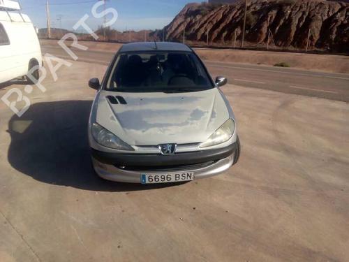 Left mirror PEUGEOT 206 Hatchback (2A/C)  | BP21459656C26 