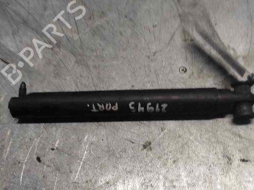 Tailgate lift support BMW X5 (E53)  | BP21404495C138 