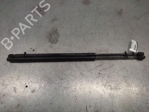 Tailgate lift support FORD FIESTA V (JH_, JD_)  | BP22248074C138 