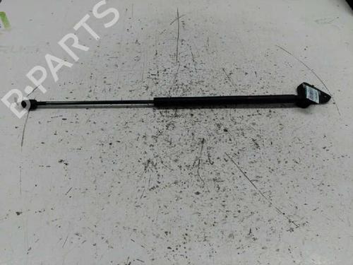 Gasdæmper bagklap FORD FOCUS C-MAX (DM2) [2003-2007]  21440301