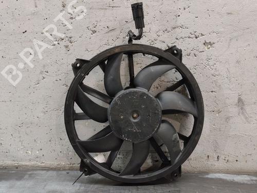 Termoventilador CITROËN C4 II (NC_) [2009-2026]  31317463