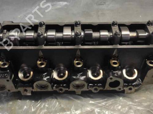 Used Cylinder head FORD ESCORT VI (GAL, AAL, ABL) [1995-2002]  21404545