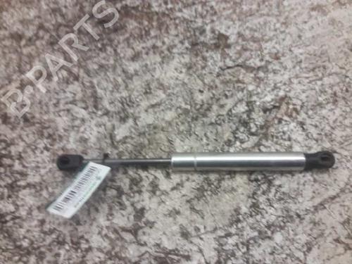 Tailgate lift support VW PASSAT B5.5 (3B3)  | BP21463852C138 