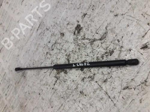 Tailgate lift support SEAT IBIZA II (6K1)  | BP21459682C138 