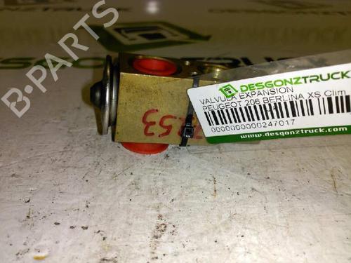 Elektronische sonde PEUGEOT 206 Hatchback (2A/C)  | BP21427239M84 