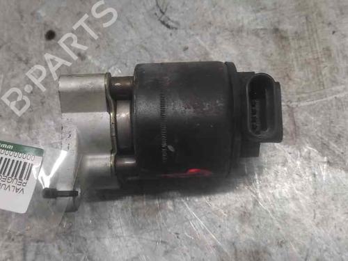 EGR-Ventil PEUGEOT 307 (3A/C) [2000-2012]  21412284