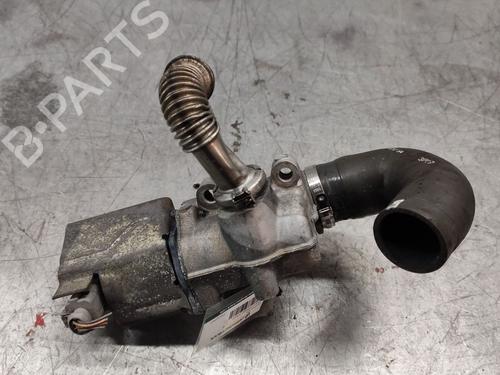 Egr RENAULT KANGOO Express (FC0/1_)  | BP28708822M69 