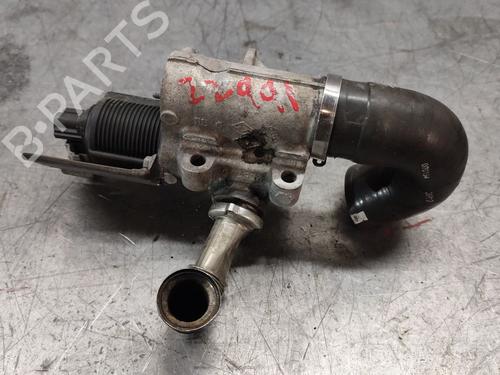 Egr RENAULT KANGOO Express (FC0/1_)  | BP28708822M69 