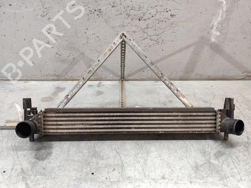 Used Intercooler VW POLO V (6R1, 6C1) 1.6 TDI (90 hp) 25129231