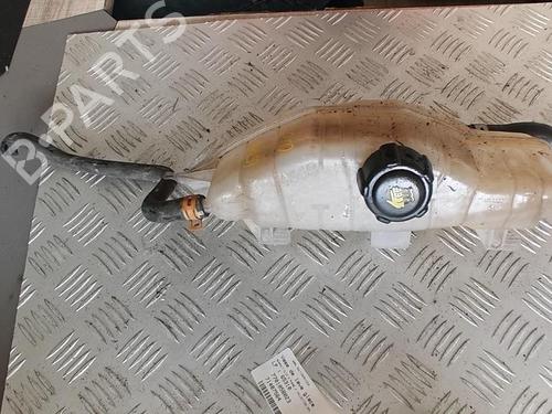Ekpansionstank RENAULT CLIO III (BR0/1, CR0/1) 1.2 16V (BR02, BR0J, BR11, CR02, CR0J, CR11) (75 hp) 21348306