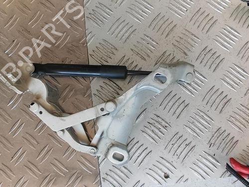 Used Hinge/Door check strap MINI MINI (R56) One (75 hp) 21345013