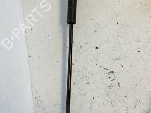 Hood lift support AUDI A4 B7 Avant (8ED) 2.0 TDI 16V | BP21345861C139 