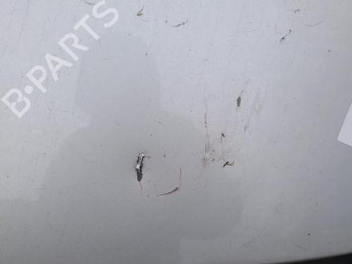 Tailgate RENAULT MEGANE IV Hatchback (B9A/M/N_) 1.5 Blue dCi 115 (B9A6) | BP21332802C6 