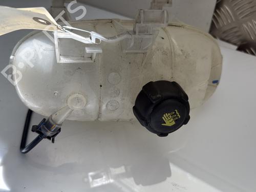 Expansion tank RENAULT TRAFIC III Van (FG_) 1.6 dCi 125 (FGMH) | BP25032749C120
