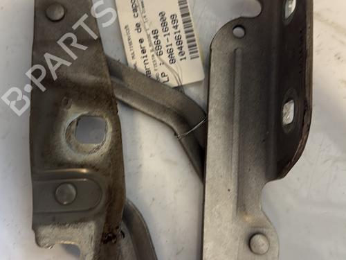 Used Hinge/Door check strap FORD FIESTA VI (CB1, CCN) 1.4 TDCi (70 hp) 25129384