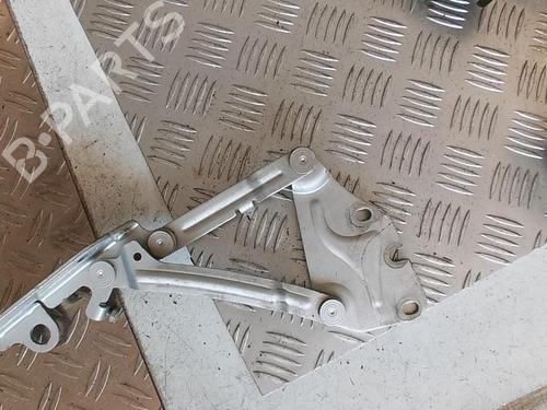 Used Hinge/Door check strap RENAULT SCÉNIC III (JZ0/1_) 1.5 dCi (110 hp) 21352812