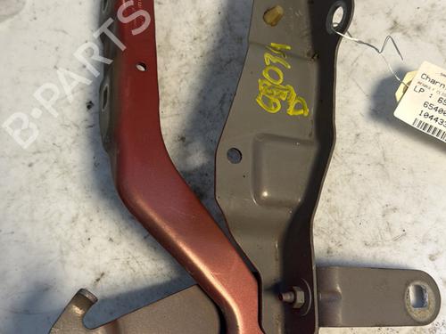 Used Hinge/Door check strap RENAULT CLIO IV Grandtour (KH_) 1.5 dCi 90 (KHN3, KHN4) (90 hp) 24947503