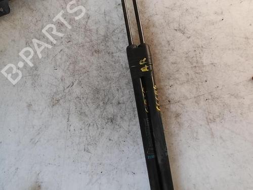 Tailgate lift support OPEL CORSA D (S07) 1.3 CDTI (L08, L68) | BP21334253C138 