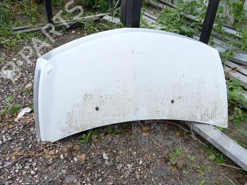 Used Hood RENAULT CLIO III (BR0/1, CR0/1) 1.2 16V (BR0P, CR0P) (101 hp) 22409222