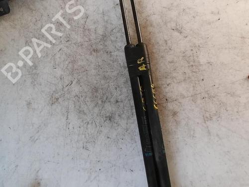 Tailgate lift support OPEL CORSA D (S07) 1.3 CDTI (L08, L68) | BP21334253C138 