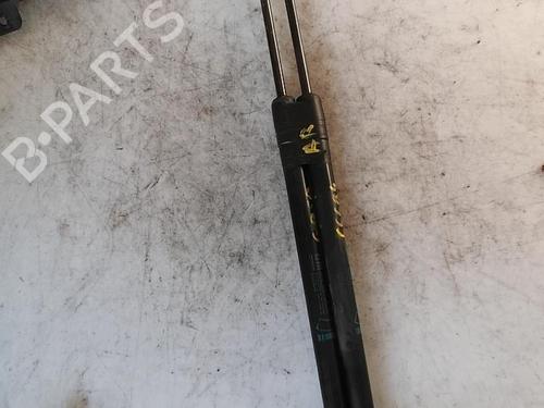 Used Tailgate lift support OPEL CORSA D (S07) 1.3 CDTI (L08, L68) (75 hp) 21334253