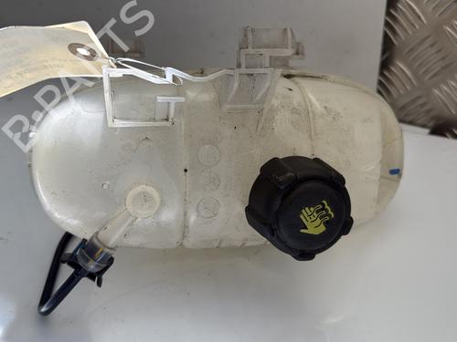 Expansion tank RENAULT TRAFIC III Van (FG_) 1.6 dCi 125 (FGMH) | BP25032749C120