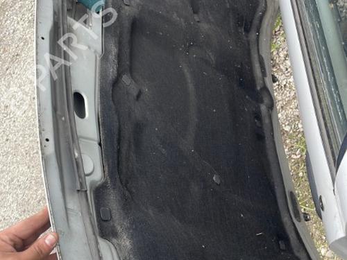 Hood VW GOLF IV (1J1) 1.9 TDI | BP21337689C1 