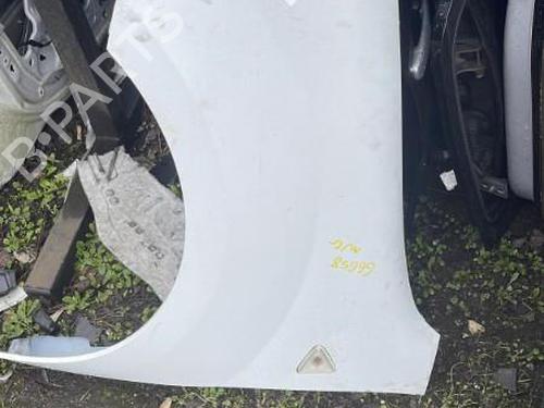 Left front fenders RENAULT KANGOO Express (FW0/1_) 1.5 dCi 85 (FW0K, FW0L, FW0B) | BP21350012C41 