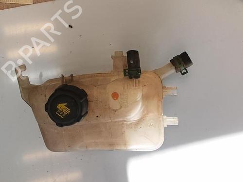 Used Expansion tank RENAULT SCÉNIC III (JZ0/1_) 1.6 dCi (JZ00, JZ12) (130 hp) 21344610