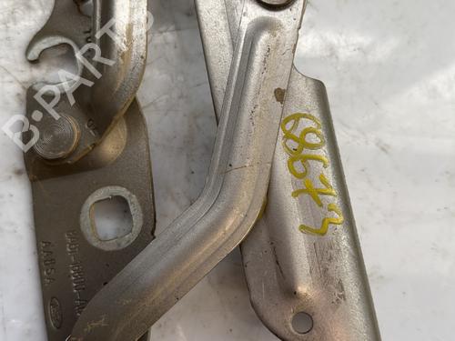 Used Hinge/Door check strap FORD FIESTA VI (CB1, CCN) 1.0 EcoBoost (100 hp) 24646300