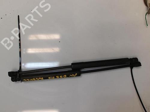 Amortiguador capot RENAULT KANGOO Express (FW0/1_) 1.5 dCi 90 (FW0G, FW05, FW08, FW11) (90 hp) 21352064