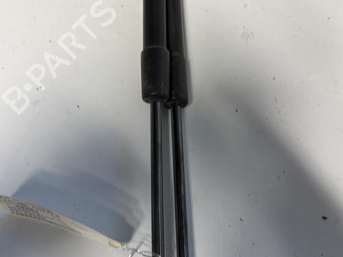 Tailgate lift support CITROËN C3 I (FC_, FN_) 1.4 HDi | BP21345363C138 