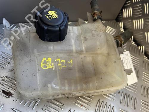 Used Expansion tank RENAULT MEGANE III Hatchback (BZ0/1_, B3_) 1.9 dCi (BZ0N, BZ0J) (131 hp) 21356962