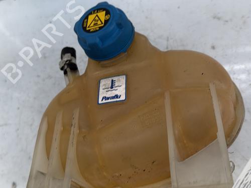 Used Expansion tank FIAT PUNTO EVO (199_) 1.2 (65 hp) 24212708