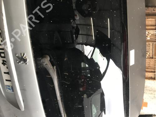 Tailgate PEUGEOT 206 SW (2E/K) 1.6 16V | BP28386201C6