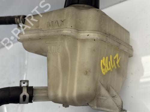 Used Expansion tank NISSAN QASHQAI / QASHQAI +2 I (J10, NJ10, JJ10E) 1.5 dCi (110 hp) 24541253