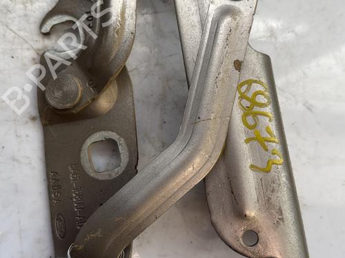 Hinge/Door check strap FORD FIESTA VI (CB1, CCN) 1.0 EcoBoost | BP24646300C146 