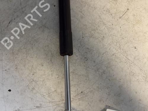 Tailgate lift support RENAULT CLIO III (BR0/1, CR0/1) 1.2 16V (BR0P, CR0P) | BP23797663C138 