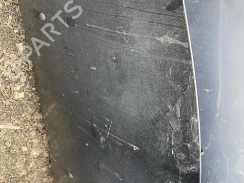 Used Hood RENAULT CLIO III (BR0/1, CR0/1) 1.5 dCi (C/BR0G, C/BR1G) (68 hp) 22178684
