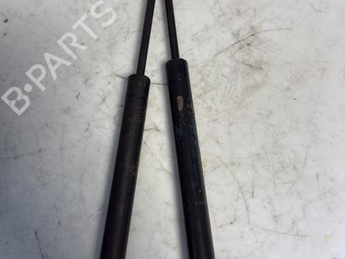 Tailgate lift support RENAULT SCÉNIC II (JM0/1_) 1.9 dCi (JM0G, JM12, JM1G, JM2C) | BP21758895C138 