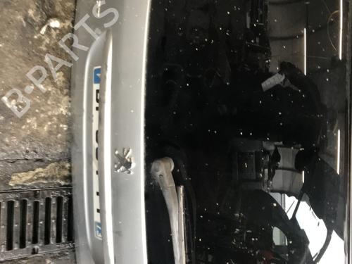 Tailgate PEUGEOT 206 SW (2E/K) 1.6 16V | BP28386201C6