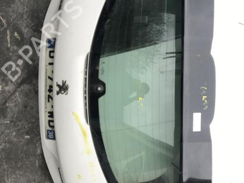 Tailgate PEUGEOT 208 I (CA_, CC_) 1.6 BlueHDi 100 | BP21347670C6 