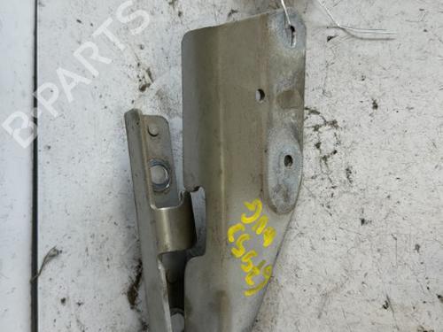 Hinge/Door check strap CITROËN C3 I (FC_, FN_) 1.4 HDi | BP21329563C146 