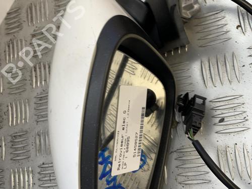 Left mirror SKODA FABIA II (542) 1.4 | BP21343214C26 