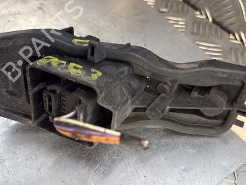 Lamp holder RENAULT GRAND SCÉNIC II (JM0/1_) 2.0 dCi (JM1K) | BP29188475L10 